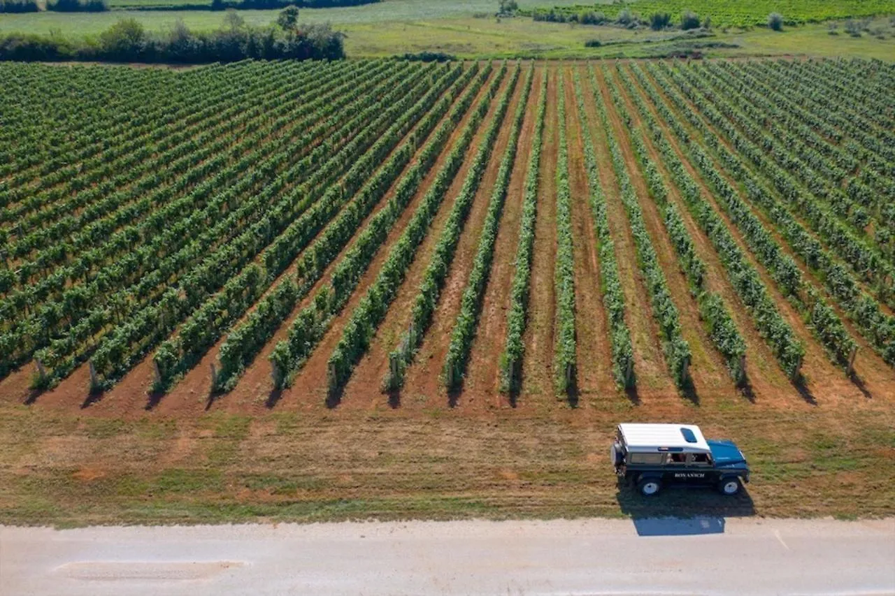 Winery & Design Hotel Roxanich Motovun